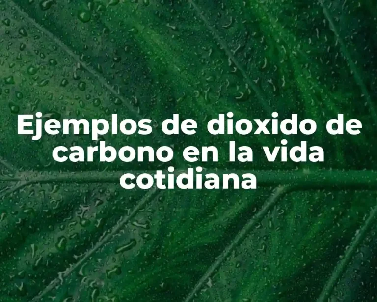Ejemplos de dioxido de carbono en la vida cotidiana