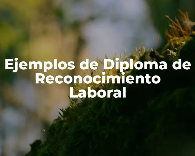 Ejemplos de Diploma de Reconocimiento Laboral
