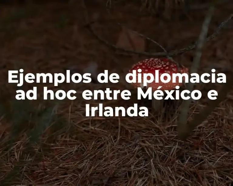 Ejemplos de diplomacia ad hoc entre México e Irlanda