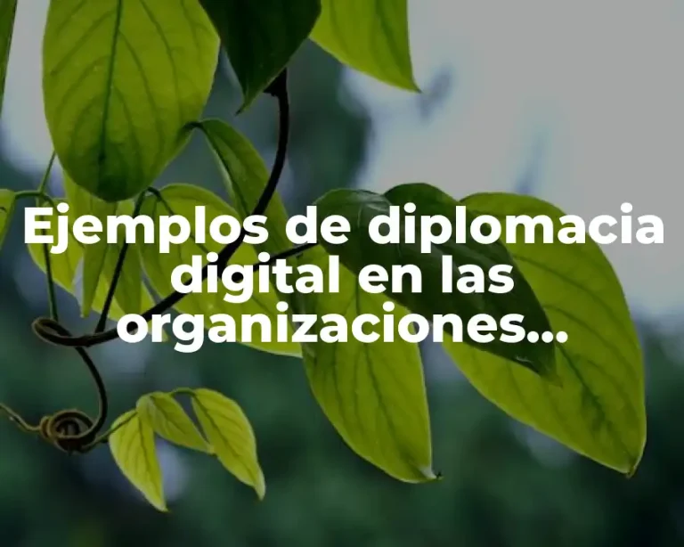 Ejemplos de diplomacia digital en las organizaciones internacionales