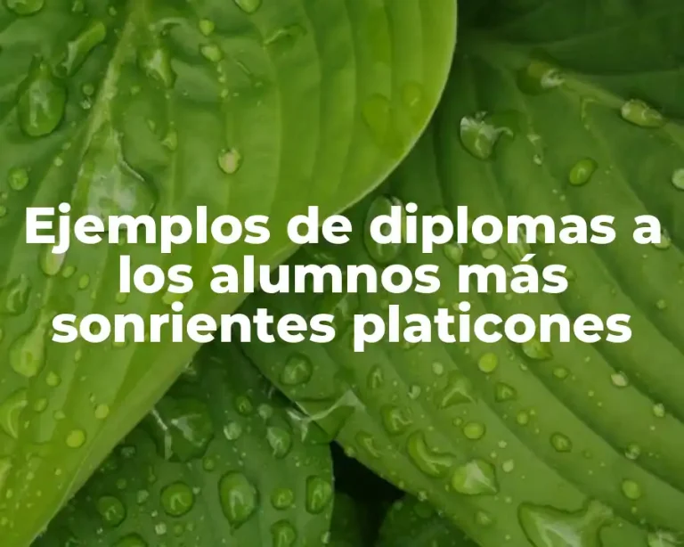 Ejemplos de diplomas a los alumnos más sonrientes platicones