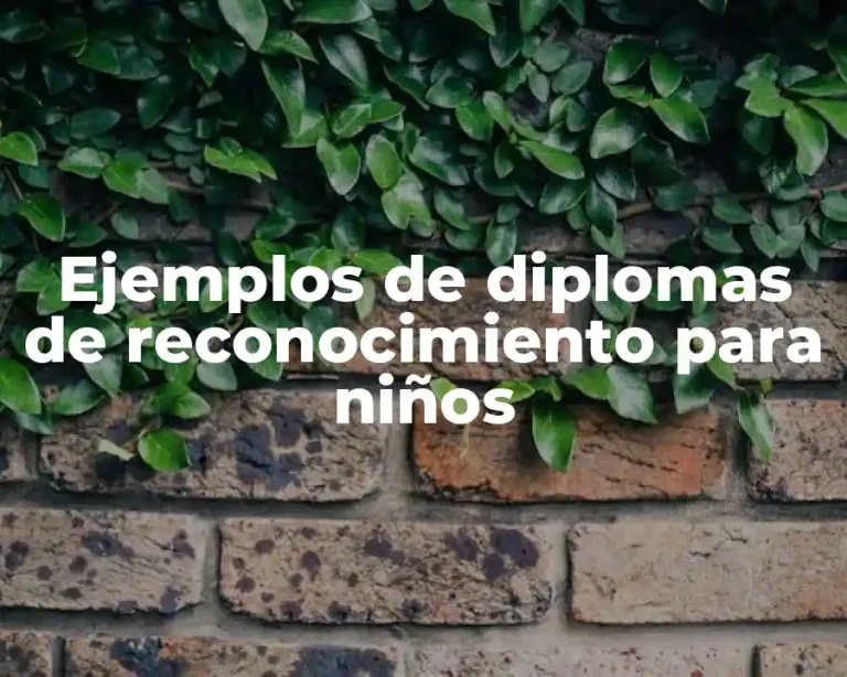 Ejemplos de diplomas de reconocimiento para niños
