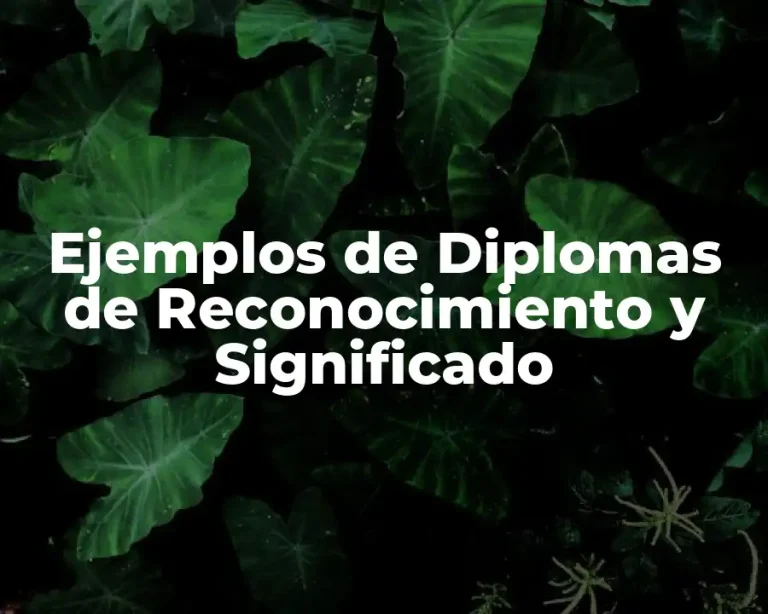 Ejemplos de Diplomas de Reconocimiento y Significado