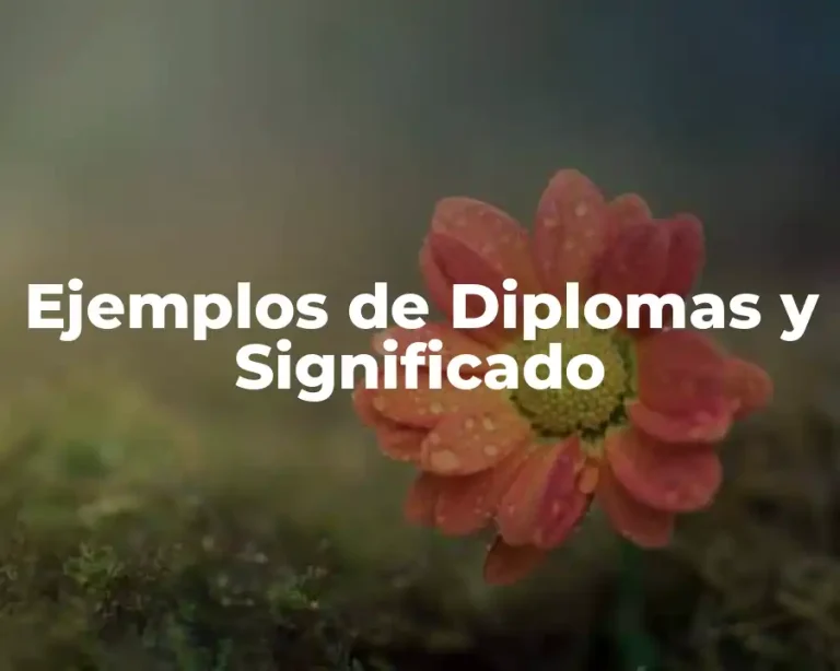 Ejemplos de Diplomas y Significado
