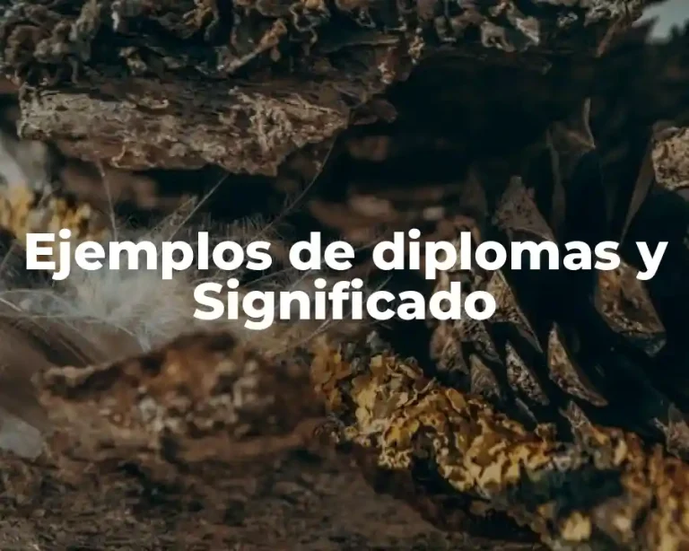 Ejemplos de diplomas y Significado