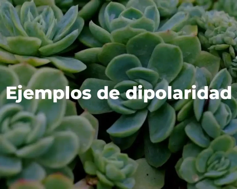 Ejemplos de dipolaridad