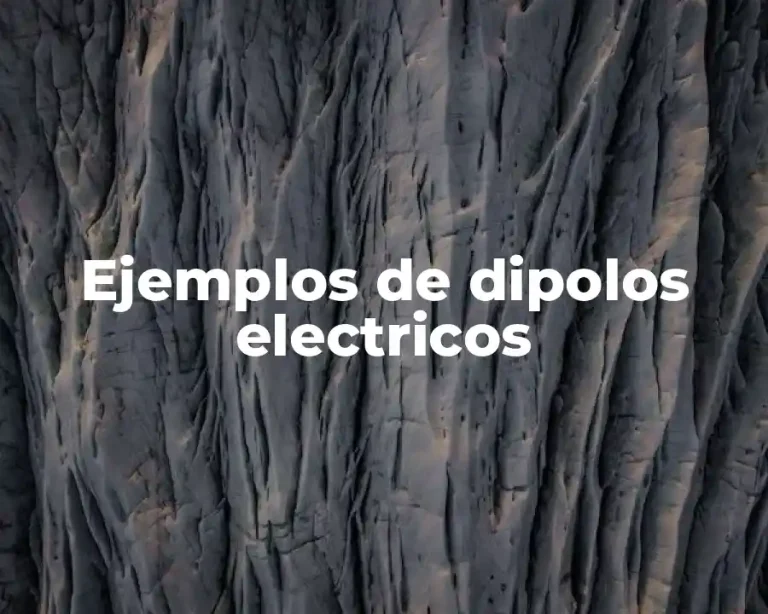 Ejemplos de dipolos electricos
