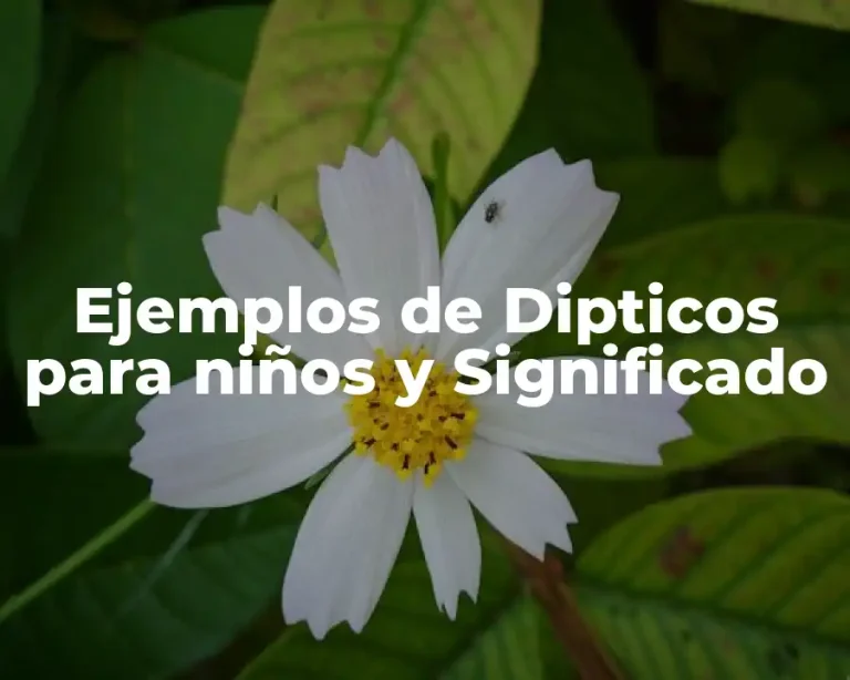Ejemplos de Dipticos para niños y Significado