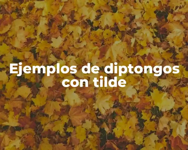 Ejemplos de diptongos con tilde