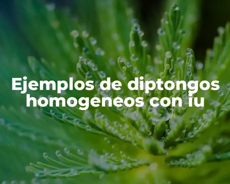 Ejemplos de diptongos homogeneos con iu