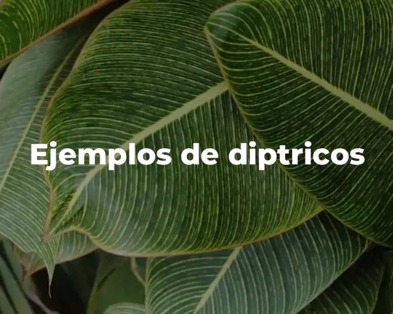 Ejemplos de diptricos