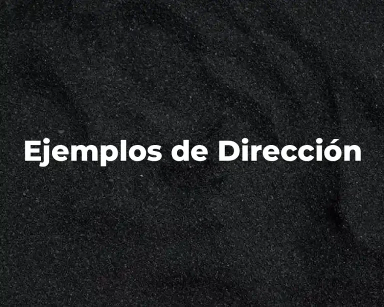 Ejemplos de Dirección