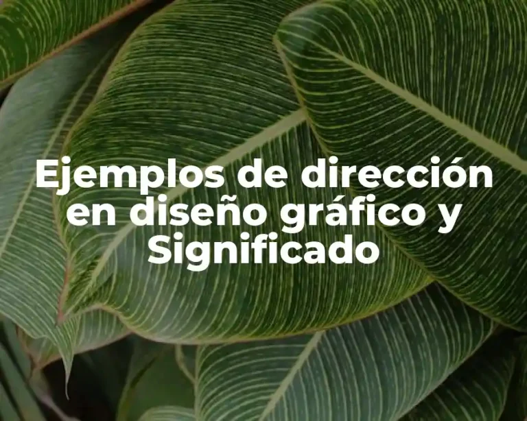 Ejemplos de dirección en diseño gráfico y Significado