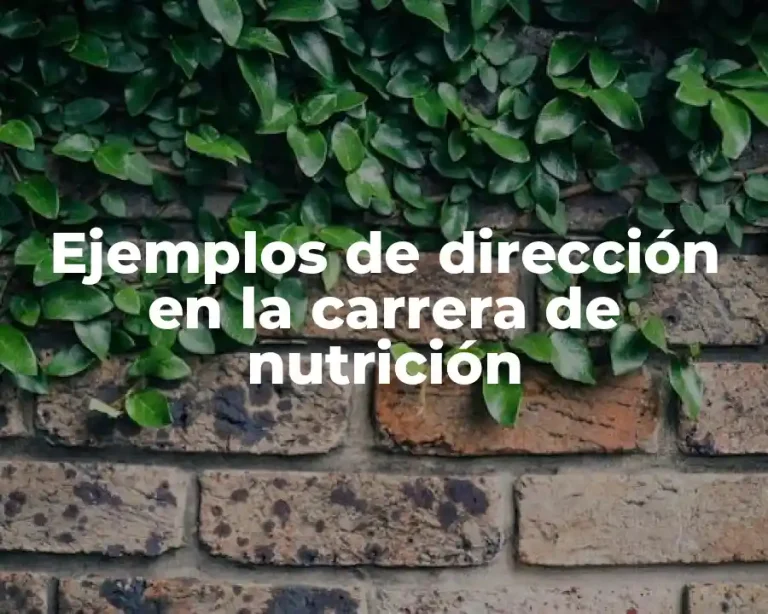 Ejemplos de dirección en la carrera de nutrición