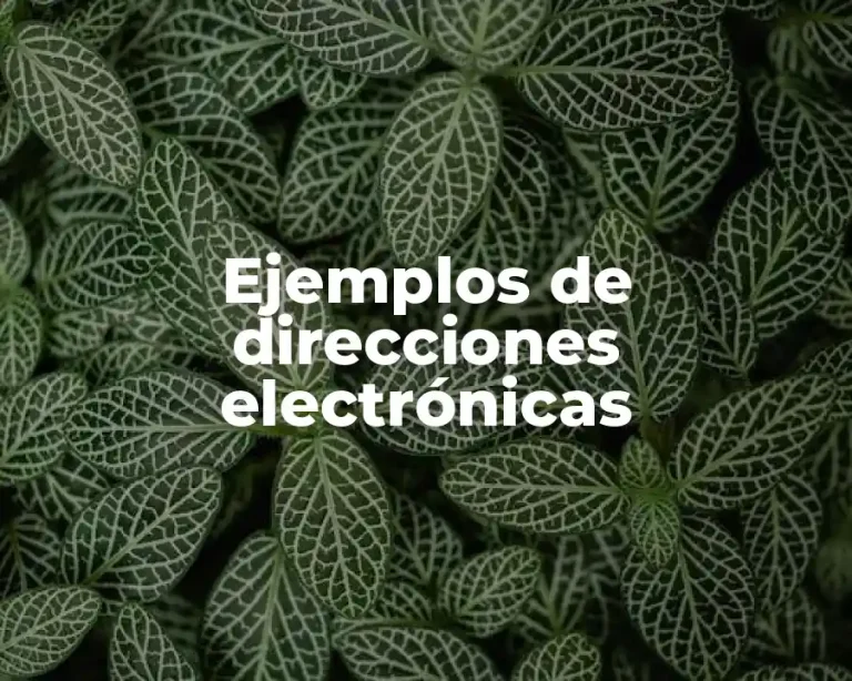Ejemplos de direcciones electrónicas