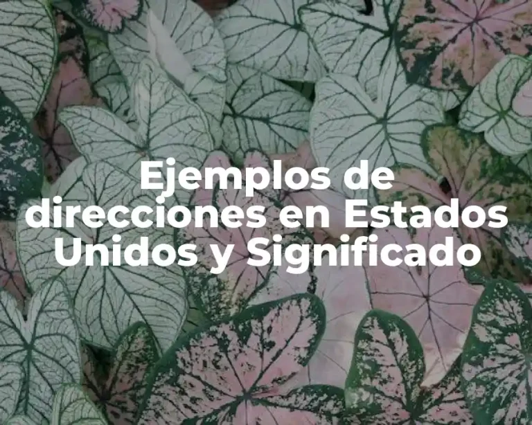 Ejemplos de direcciones en Estados Unidos y Significado