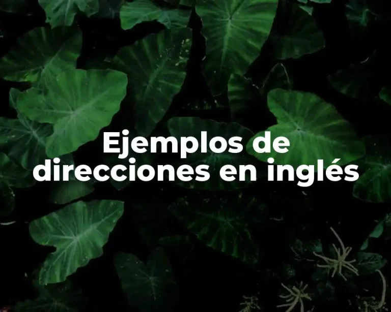 Ejemplos de direcciones en inglés
