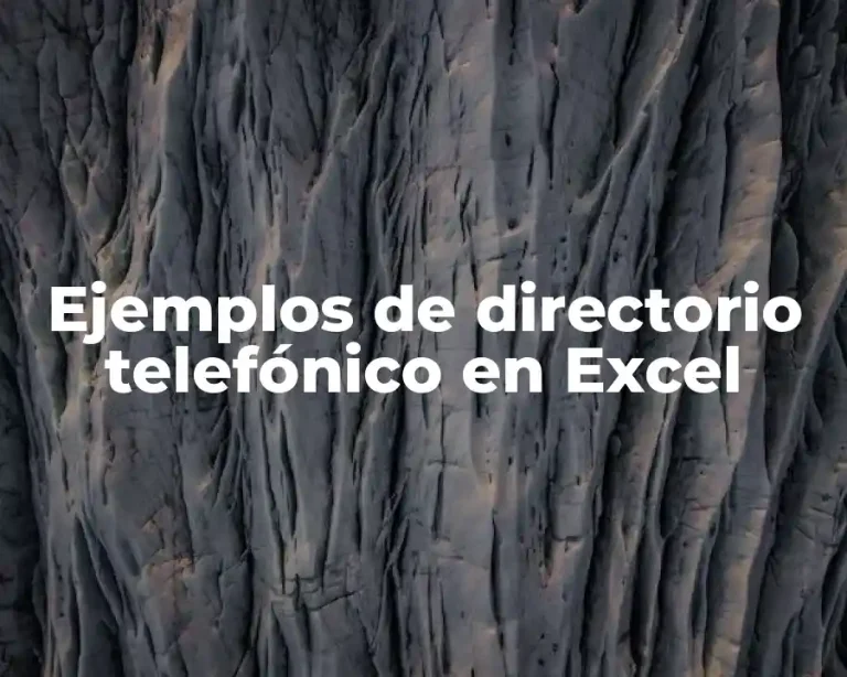 Ejemplos de directorio telefónico en Excel