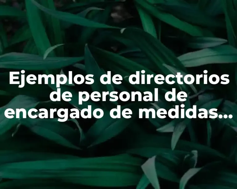 Ejemplos de directorios de personal de encargado de medidas preventivas y Significado