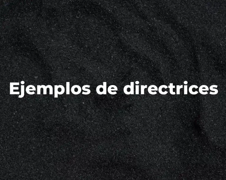 Ejemplos de directrices
