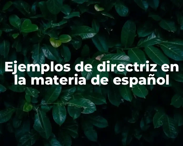 Ejemplos de directriz en la materia de español