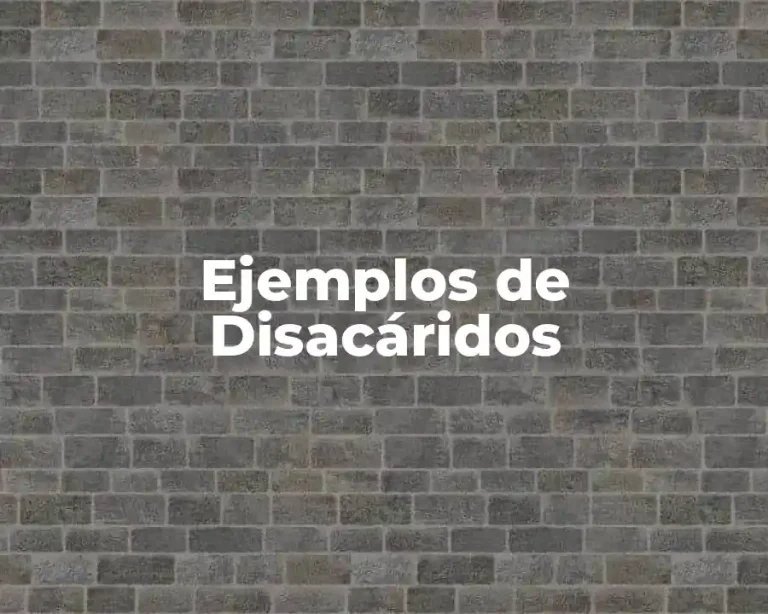 Ejemplos de Disacáridos