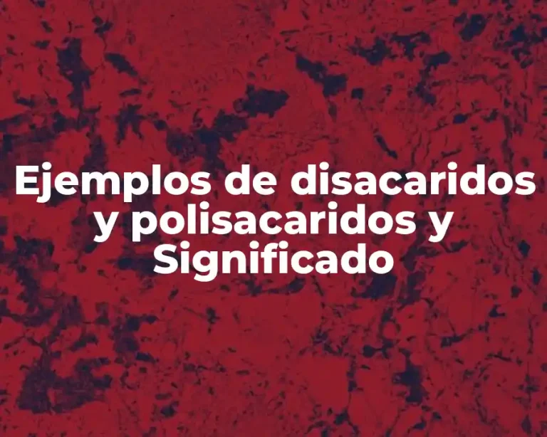 Ejemplos de disacaridos y polisacaridos y Significado