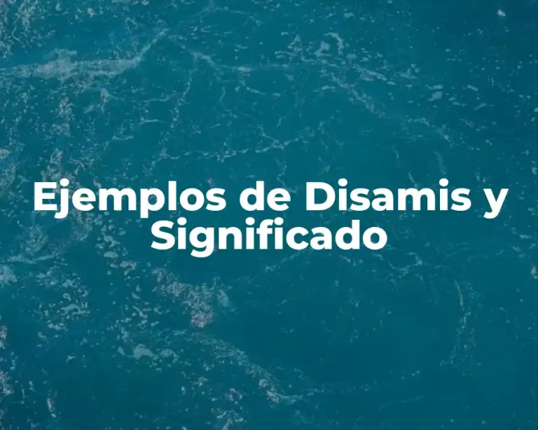 Ejemplos de Disamis y Significado