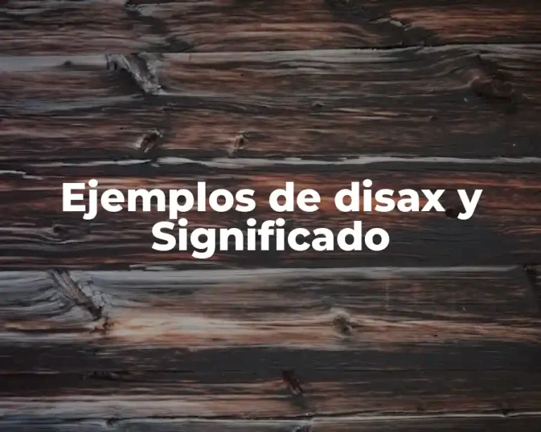 Ejemplos de disax y Significado