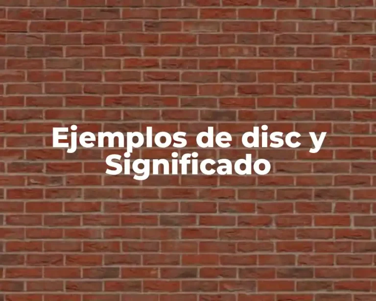 Ejemplos de disc y Significado