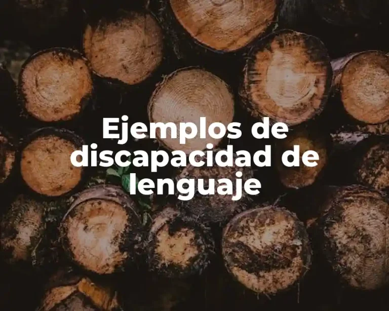 Ejemplos de discapacidad de lenguaje