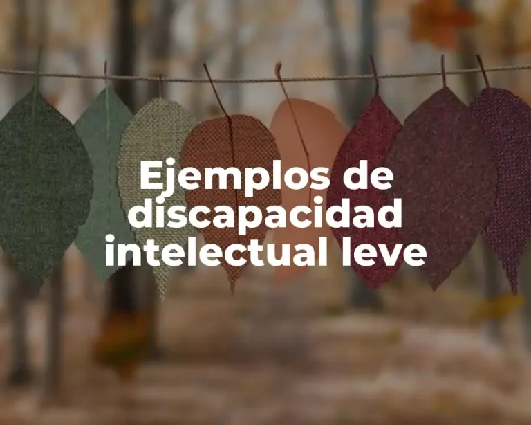 Ejemplos de discapacidad intelectual leve