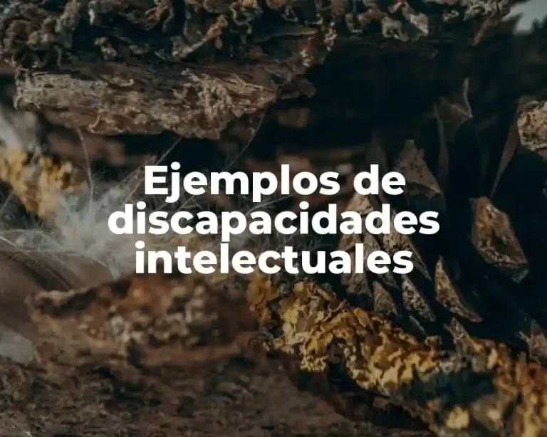 Ejemplos de discapacidades intelectuales
