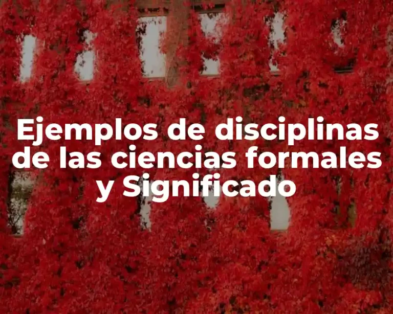 Ejemplos de disciplinas de las ciencias formales y Significado