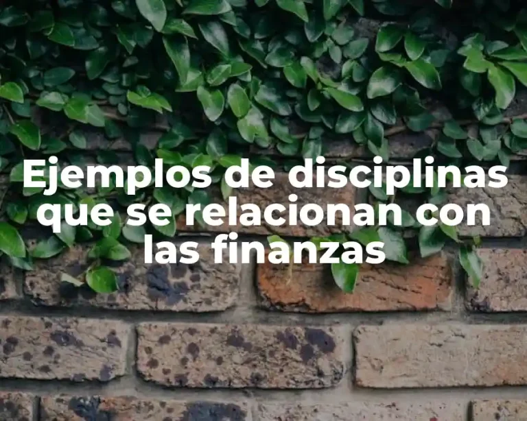Ejemplos de disciplinas que se relacionan con las finanzas