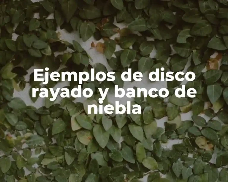 Ejemplos de disco rayado y banco de niebla