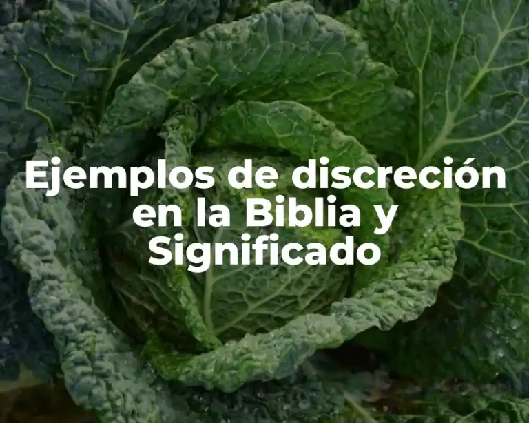 Ejemplos de discreción en la Biblia y Significado