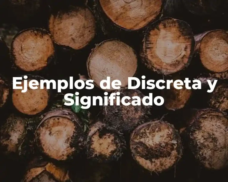 Ejemplos de Discreta y Significado