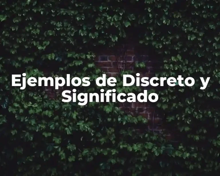 Ejemplos de Discreto y Significado