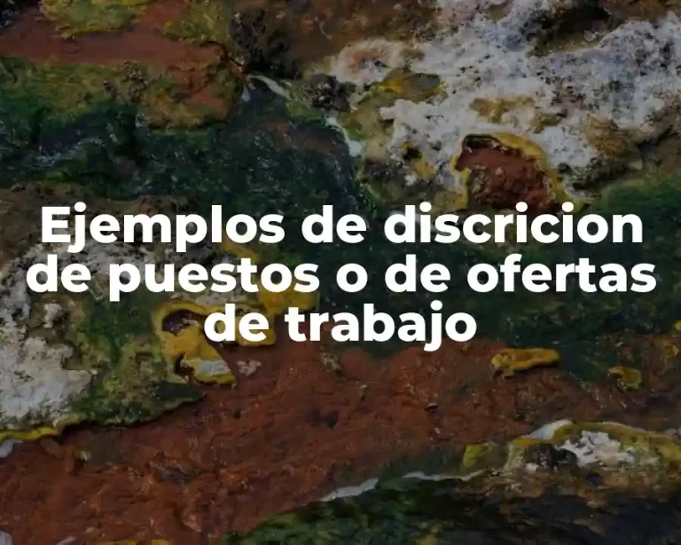 Ejemplos de discricion de puestos o de ofertas de trabajo