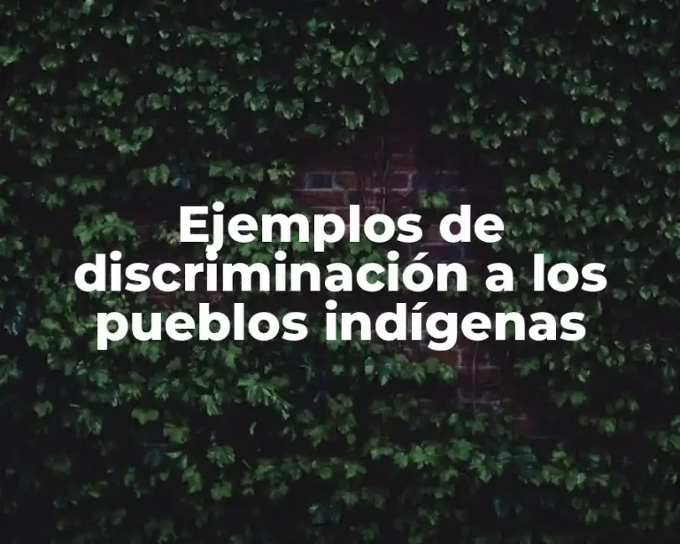 Ejemplos de discriminación a los pueblos indígenas