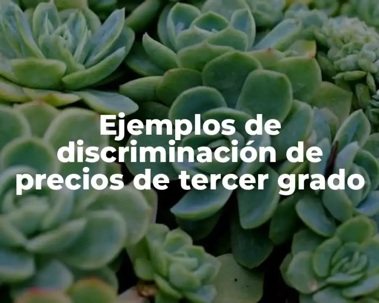 Ejemplos de discriminación de precios de tercer grado