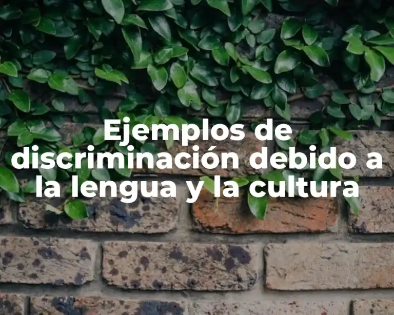 Ejemplos de discriminación debido a la lengua y la cultura