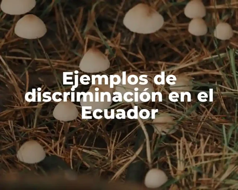 Ejemplos de discriminación en el Ecuador