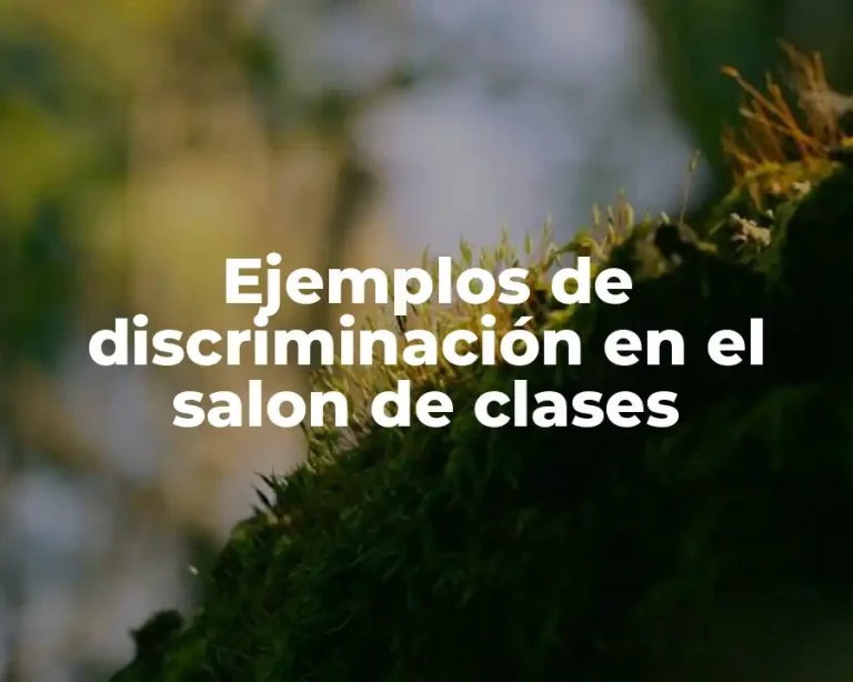 Ejemplos de discriminación en el salon de clases