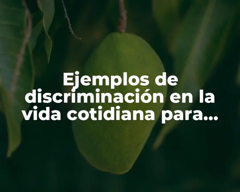 Ejemplos de discriminación en la vida cotidiana para niños