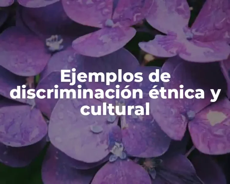 Ejemplos de discriminación étnica y cultural