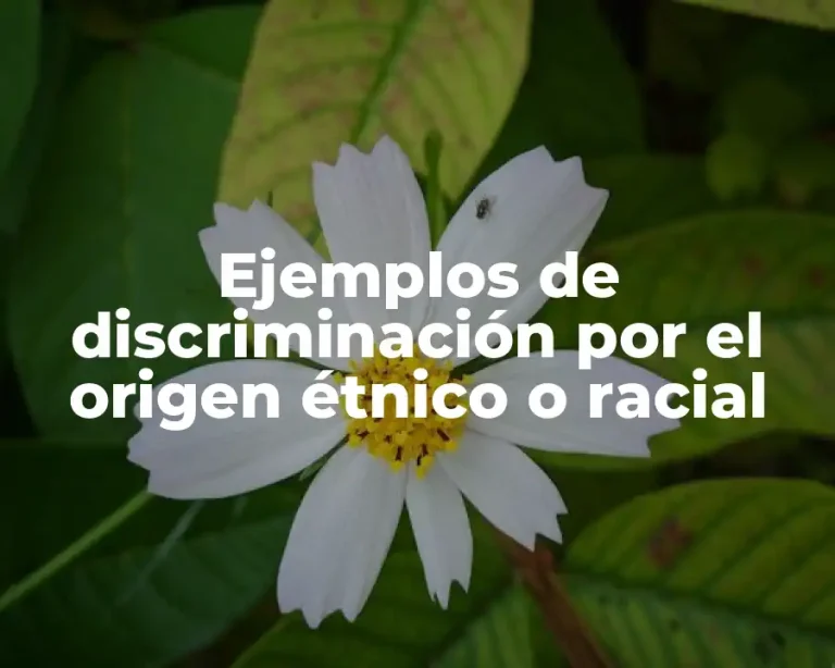 Ejemplos de discriminación por el origen étnico o racial