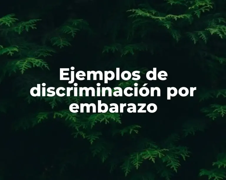 Ejemplos de discriminación por embarazo