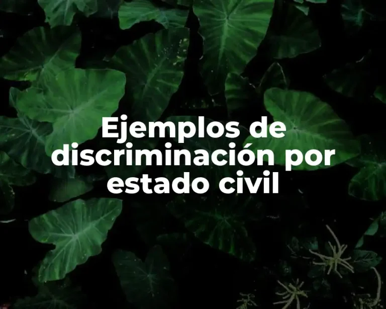 Ejemplos de discriminación por estado civil